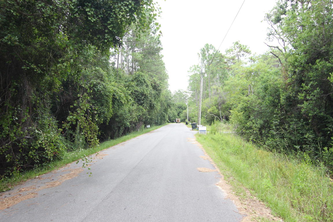 LOT B Wild Blueberry Way, Point Washington, FL 32459