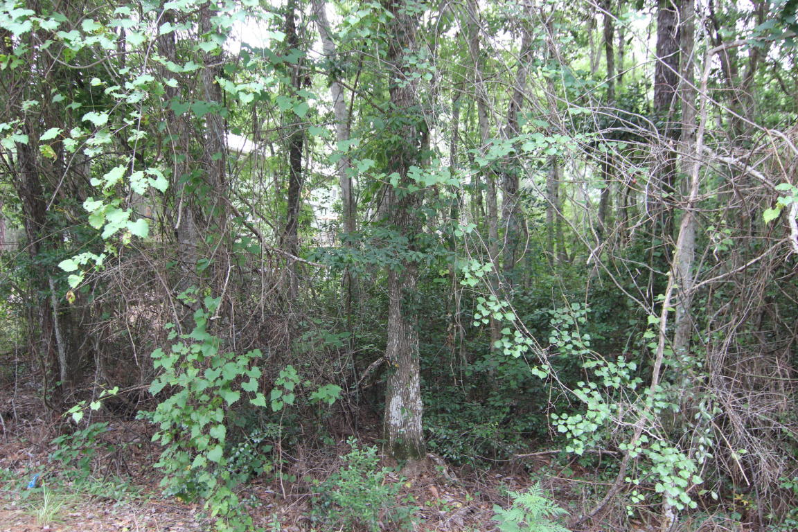 LOT B Wild Blueberry Way, Point Washington, FL 32459