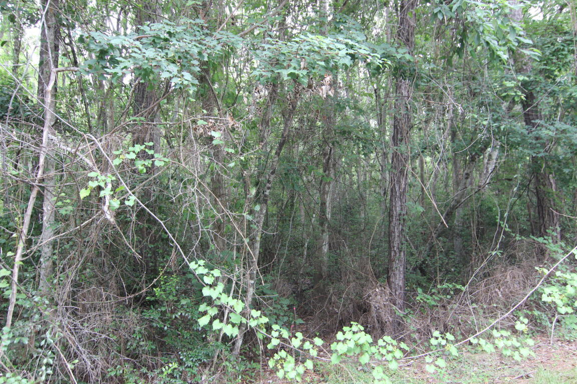 LOT B Wild Blueberry Way, Point Washington, FL 32459