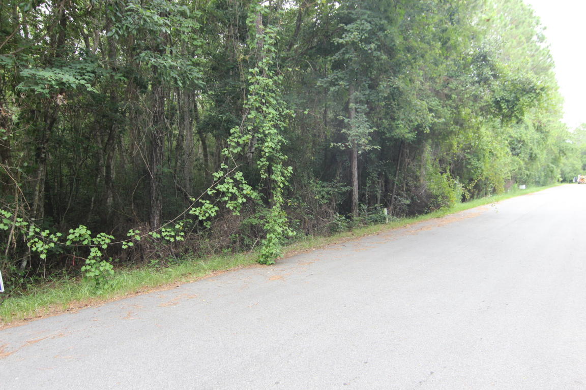 LOT A Wild Blueberry Way, Santa Rosa Beach, FL 32459
