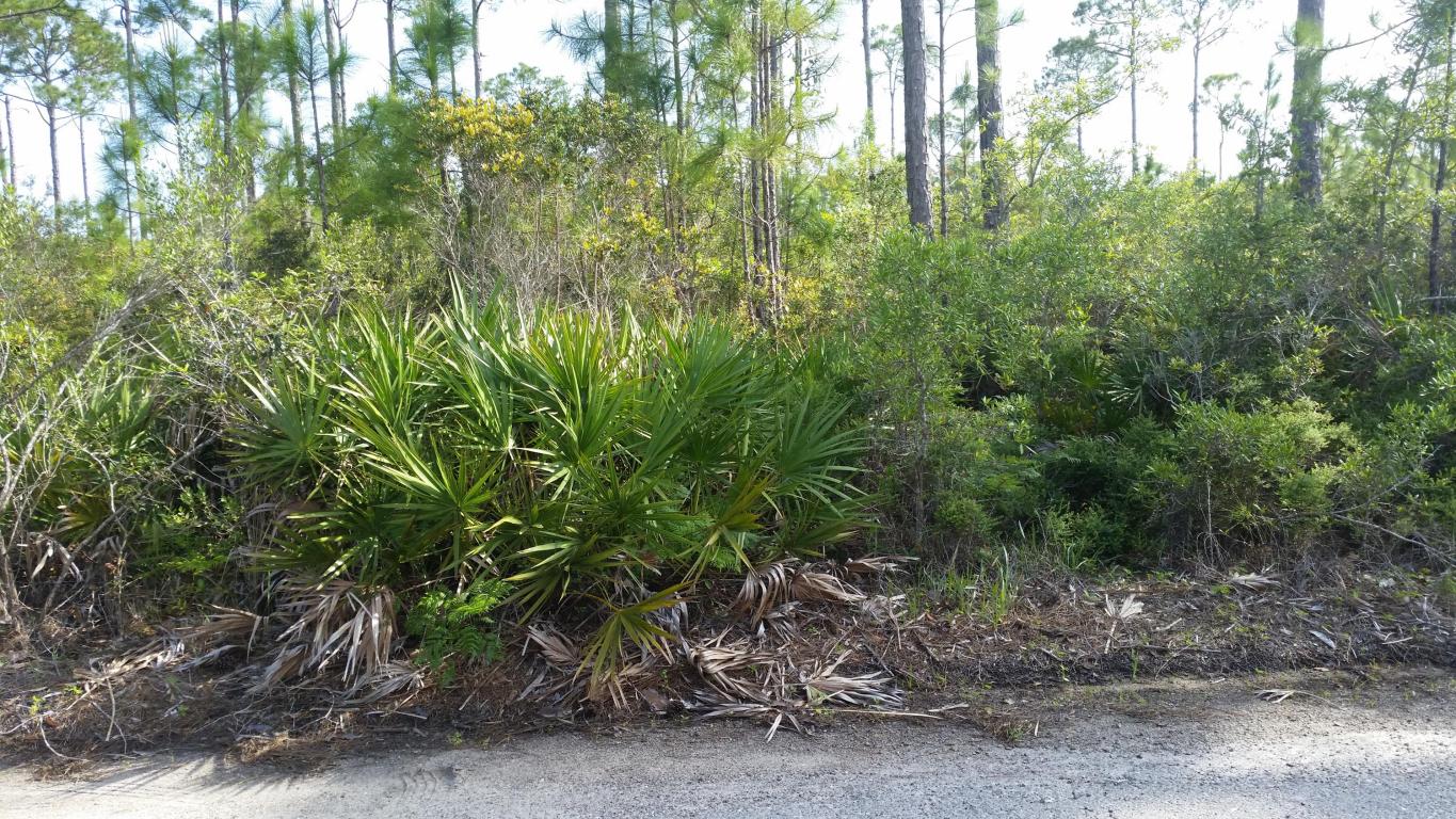 Lot 3 Casa Grande, Santa Rosa Beach, FL 32459