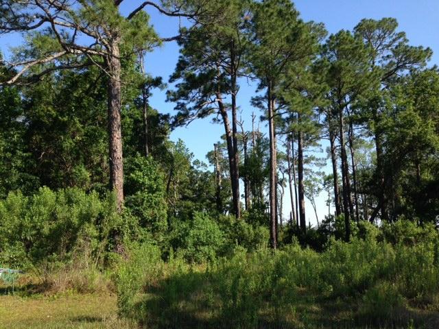 Lot 15 SILVERLEAF Lane, Point Washington, FL 32459