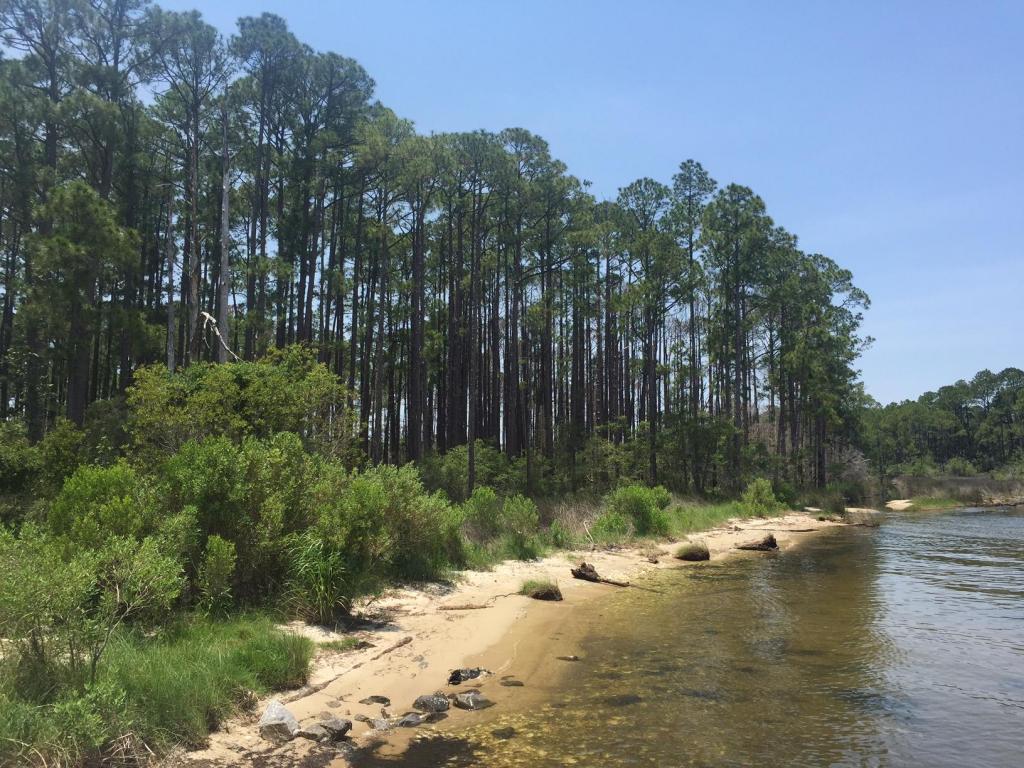 LOT 2 CR-393, Santa Rosa Beach, FL 32459