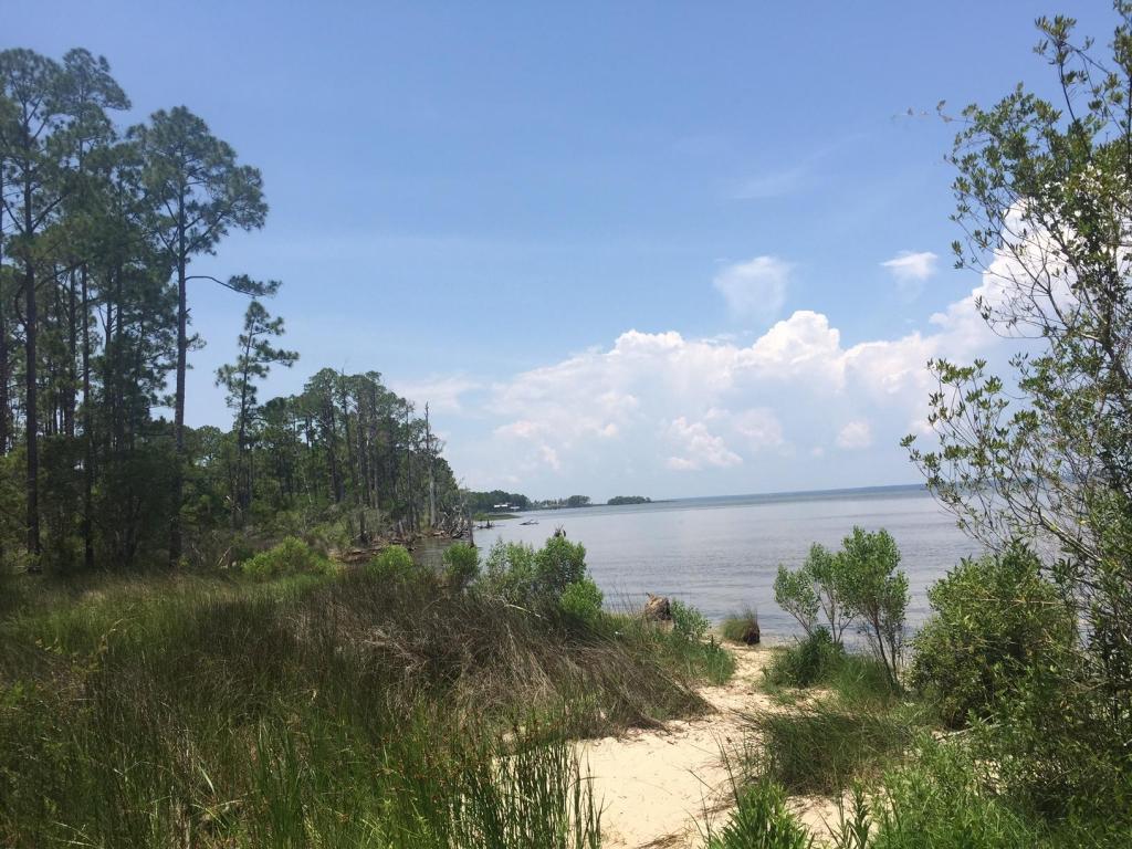 LOT 2 CR-393, Santa Rosa Beach, FL 32459