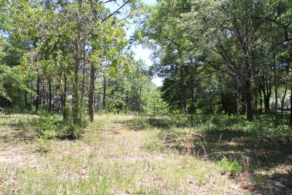 Lot 19 Ricker Avenue, Santa Rosa Beach, FL 32459