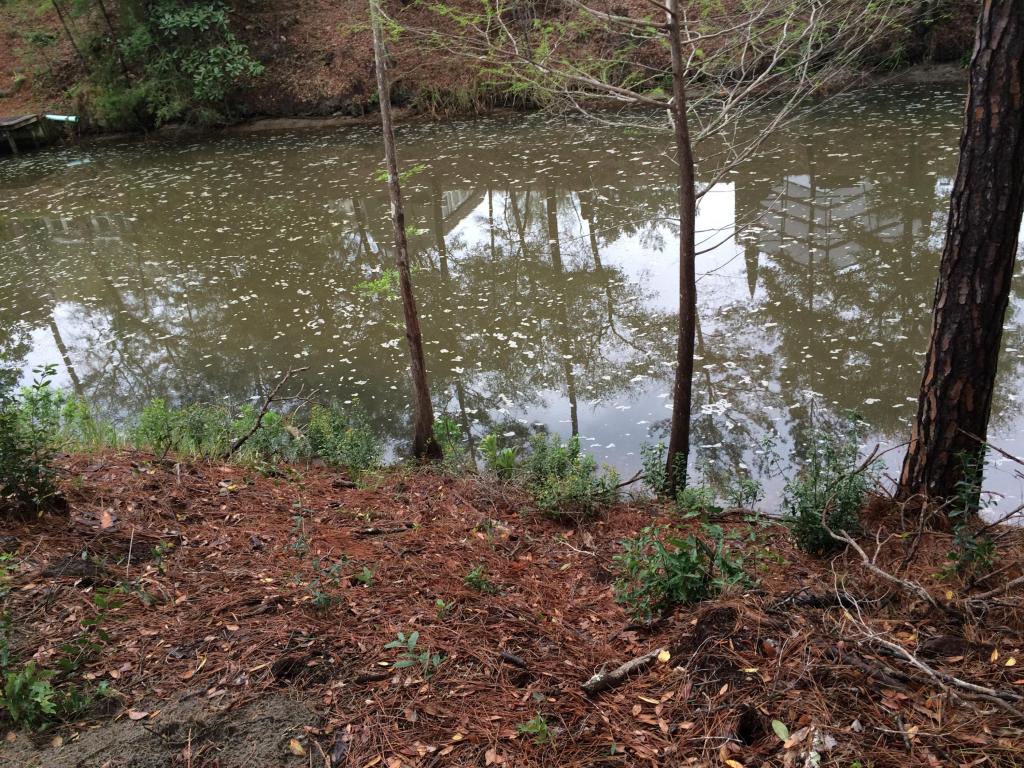 LOT 27 MORRISON Avenue, Santa Rosa Beach, FL 32459
