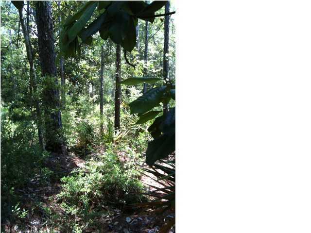 LOT 10 Churchill Drive, Santa Rosa Beach, FL 32459