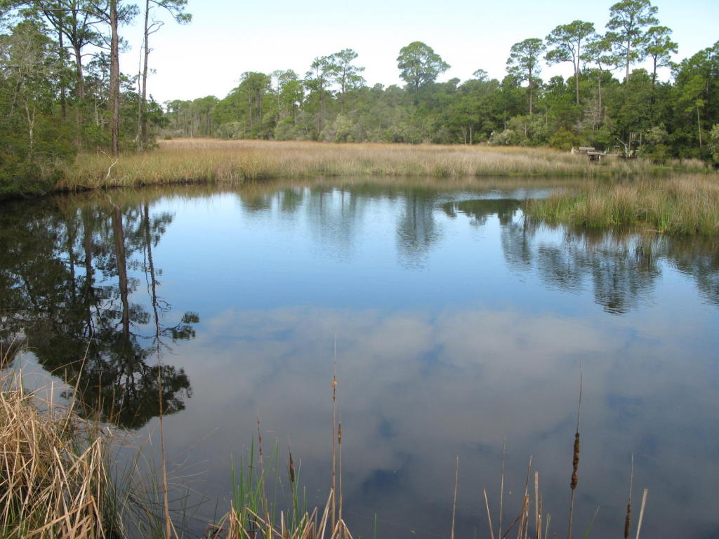 x PINE CONE Trail, Inlet Beach, FL 32461