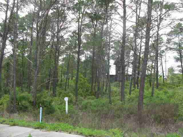 x PINE CONE Trail, Inlet Beach, FL 32461