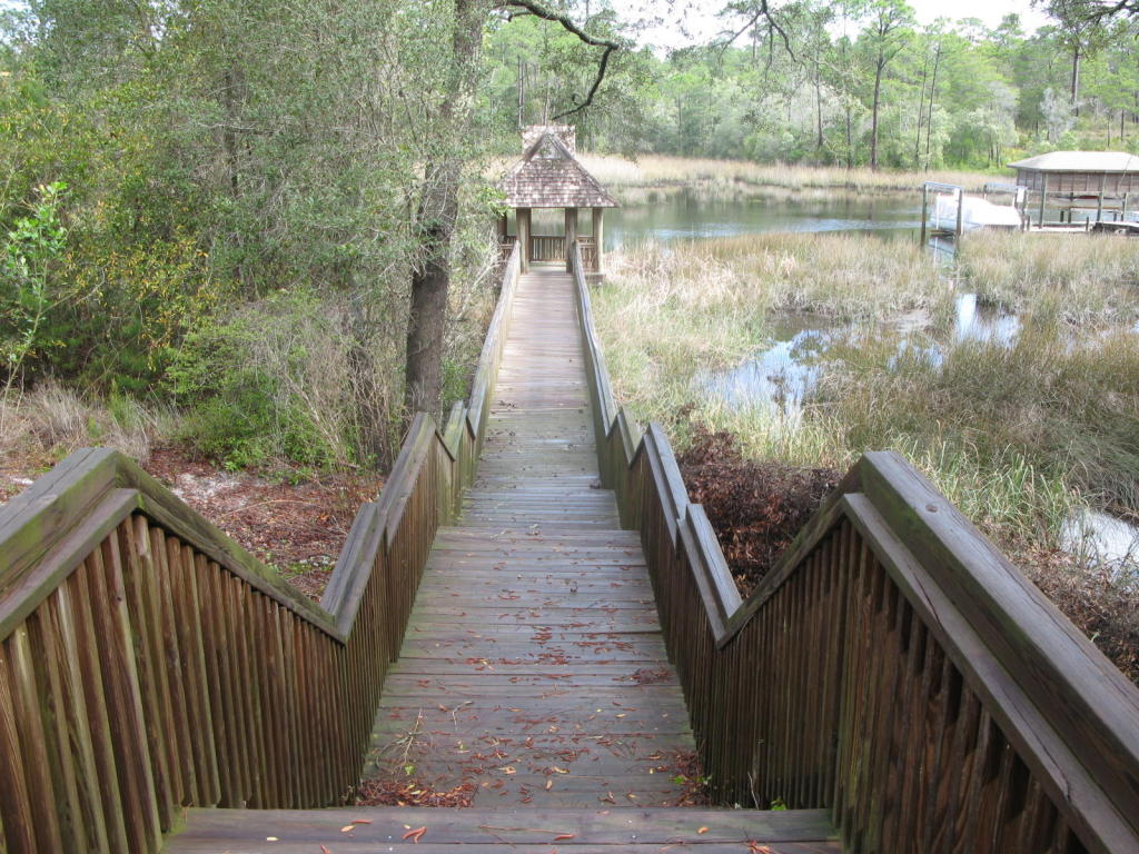 x PINE CONE Trail, Inlet Beach, FL 32461