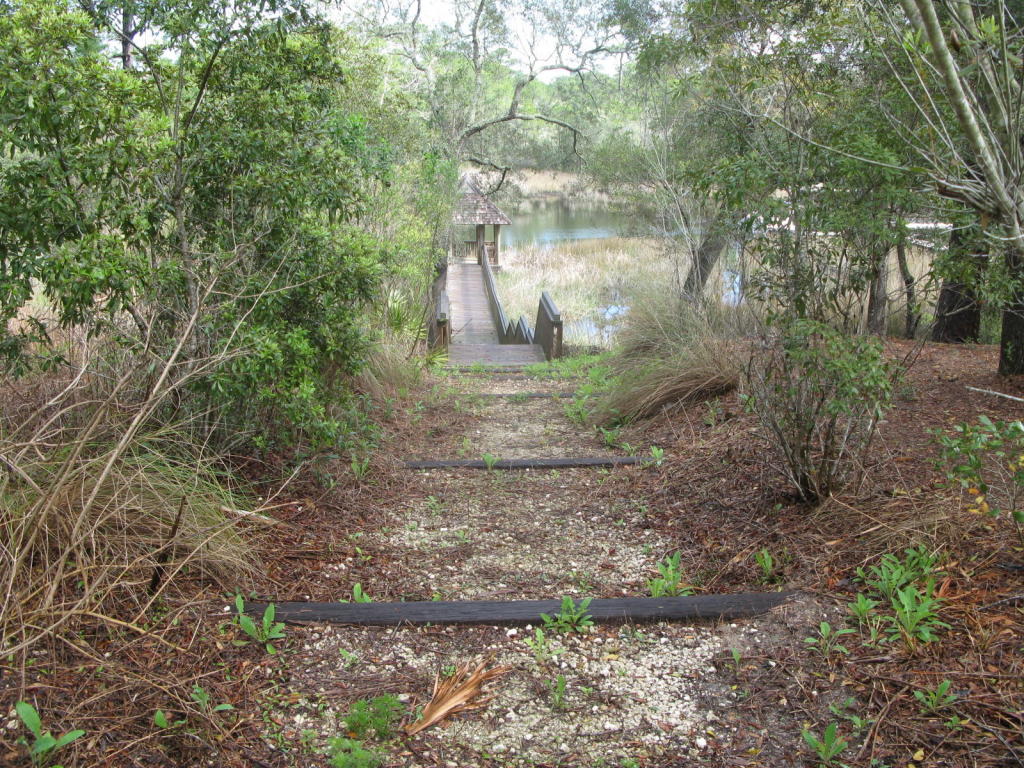 x PINE CONE Trail, Inlet Beach, FL 32461
