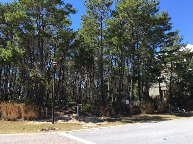 Lot 71 Grande Pointe Drive, Inlet Beach, FL 32461