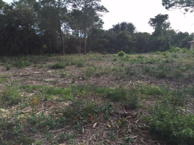 00 Walton Palm Rd., Inlet Beach, FL 32461