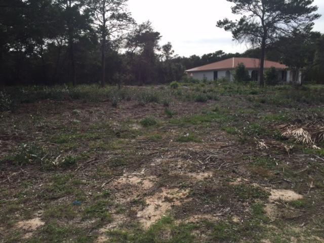 00 Walton Palm Rd., Inlet Beach, FL 32461