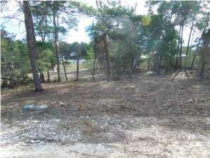 00 Wildwood Trail, Inlet Beach, FL 32461