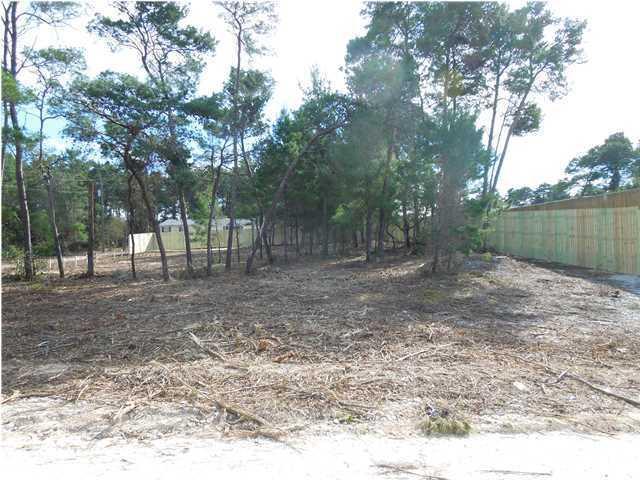 00 Wildwood Trail, Inlet Beach, FL 32461