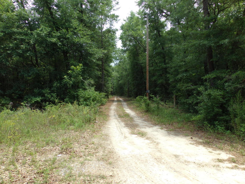 5254 CHOCTAW Road, Vernon, FL 32462