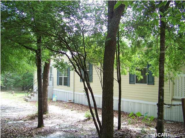 4196 CHAPEL BRANCH Drive, Vernon, FL 32462