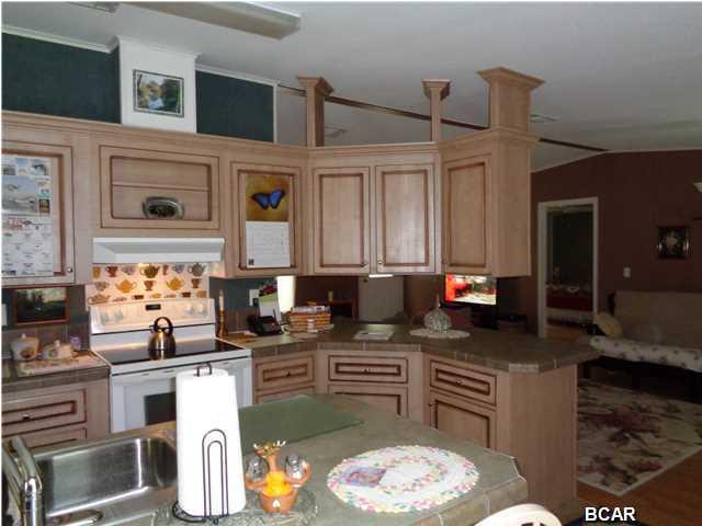 4196 CHAPEL BRANCH Drive, Vernon, FL 32462