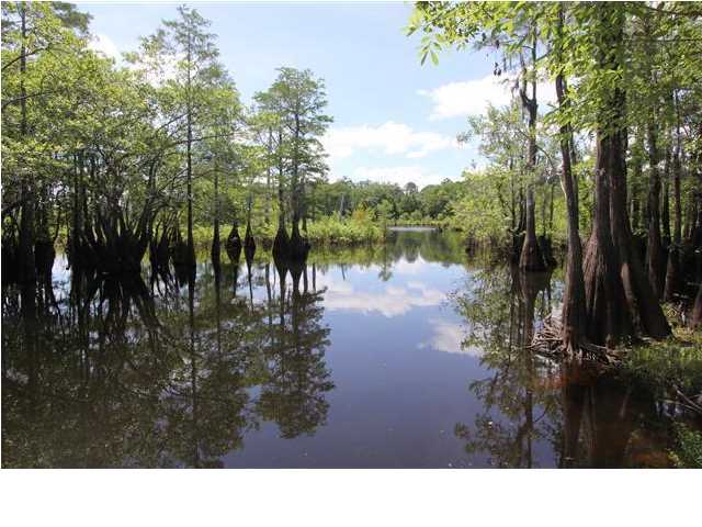 208 LAKE GROVE RD, Wewahitchka, FL 32465