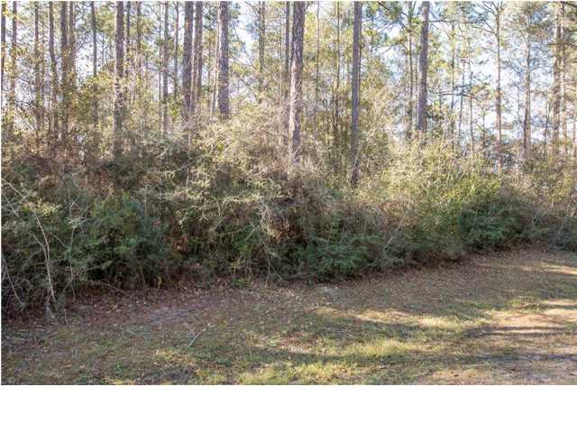 3 WETAPPO DR, Wewahitchka, FL 32465