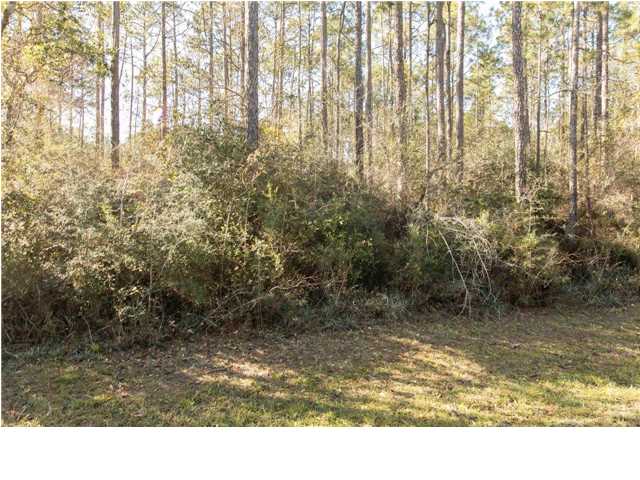 2 WETAPPO DR, Wewahitchka, FL 32465