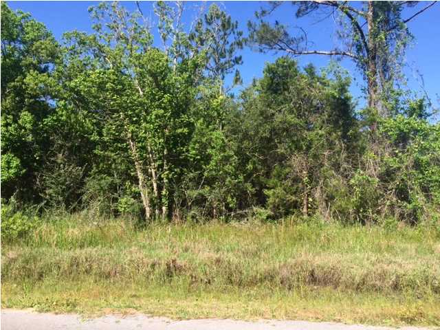0 SMITH RD, Wewahitchka, FL 32465