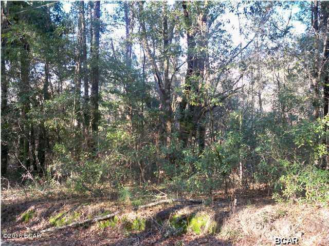 0000 LONE CEDAR Drive, Youngstown, FL 32466