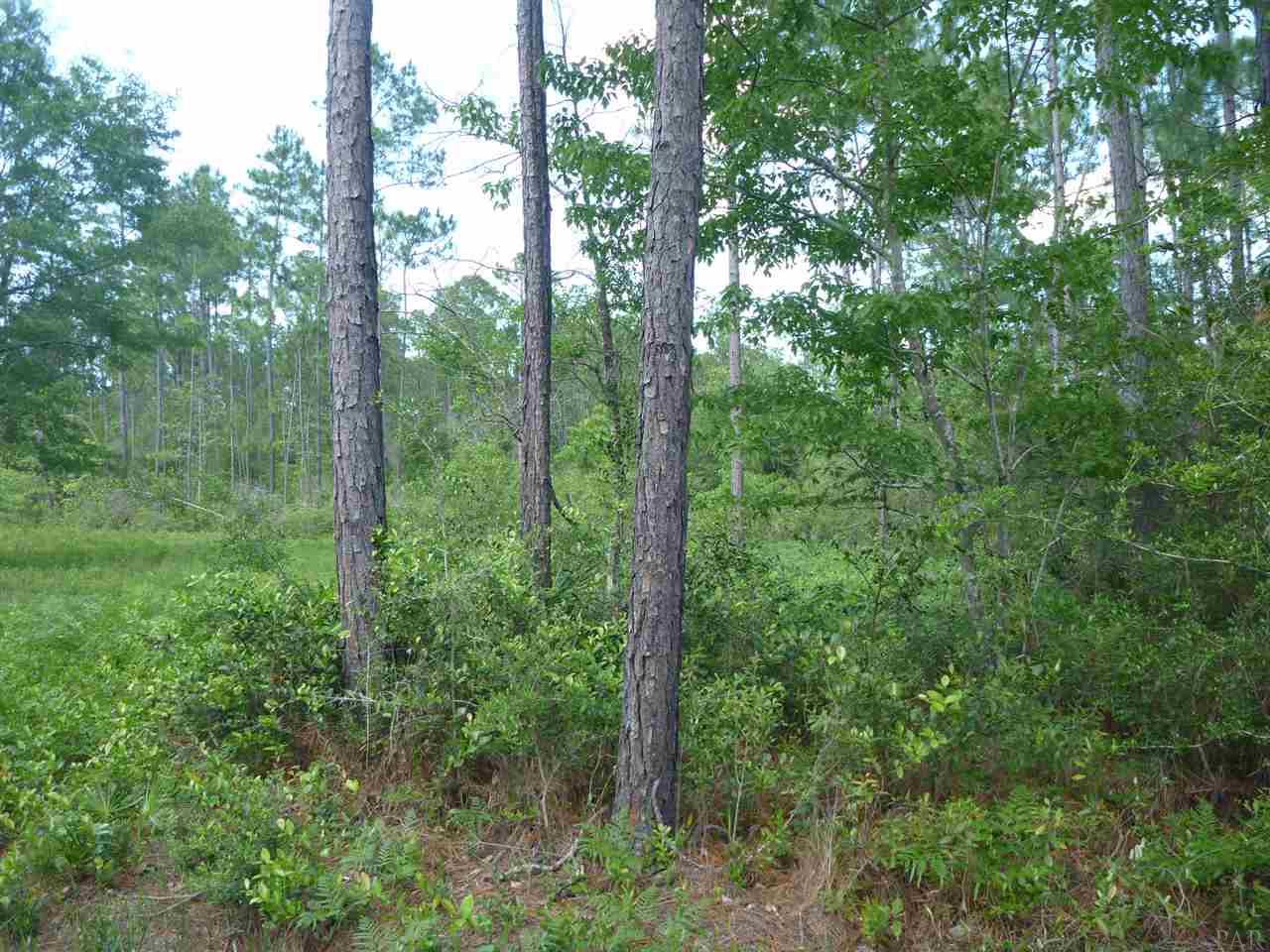 9927 AILERON AVE, Pensacola, FL 32506