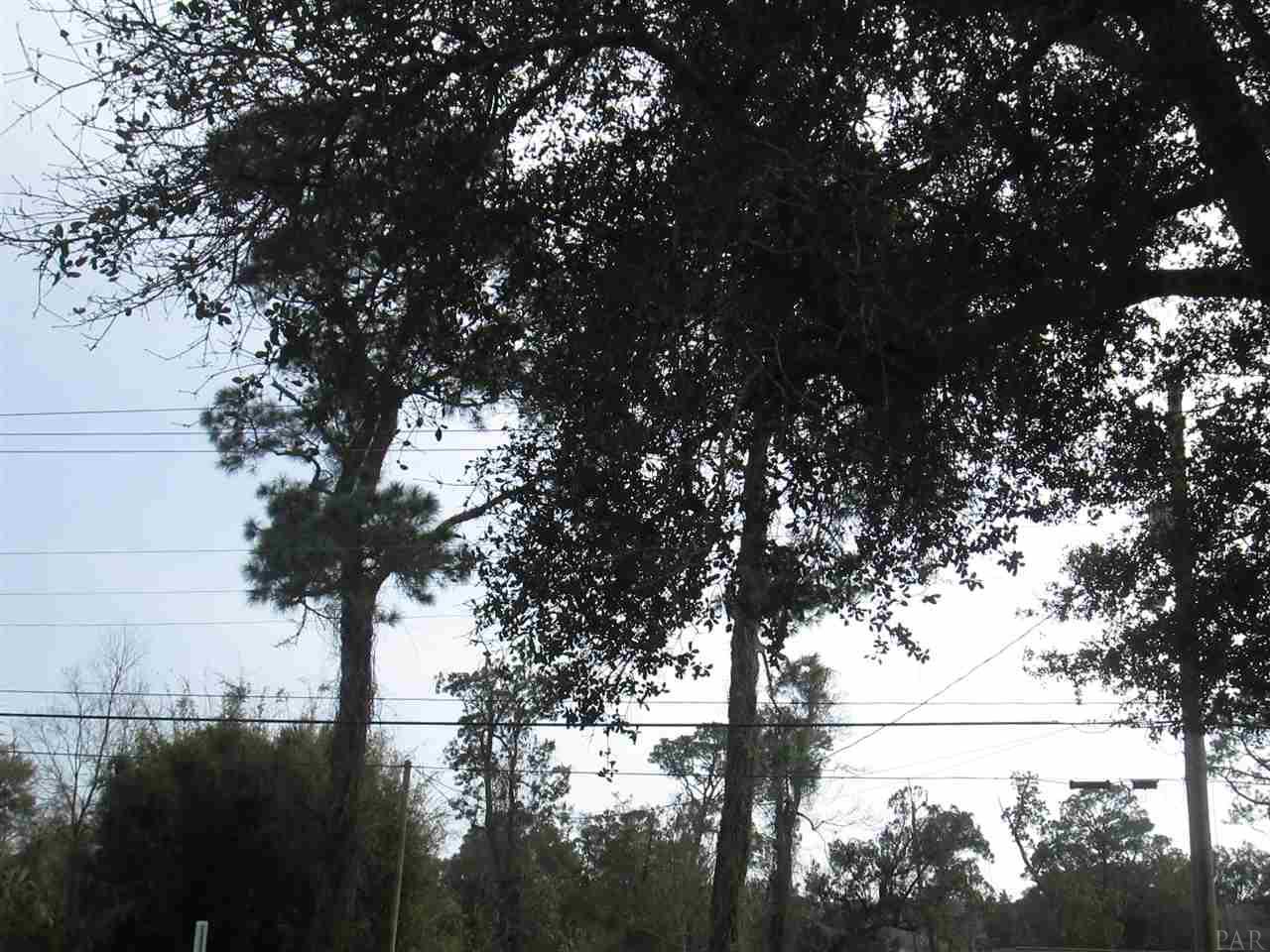 306 W WINTHROP AVE, Pensacola, FL 32507