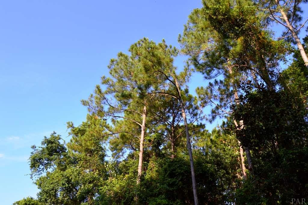 5500 MASSEY DR, Pensacola, FL 32507