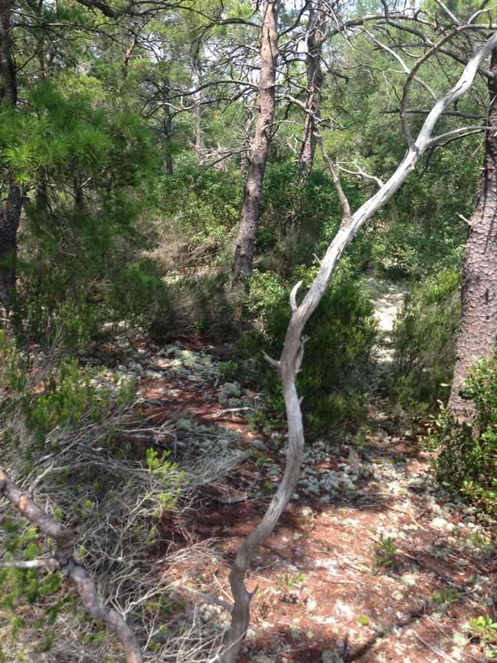 0000 Zodiac Dr, Pensacola, FL 32507
