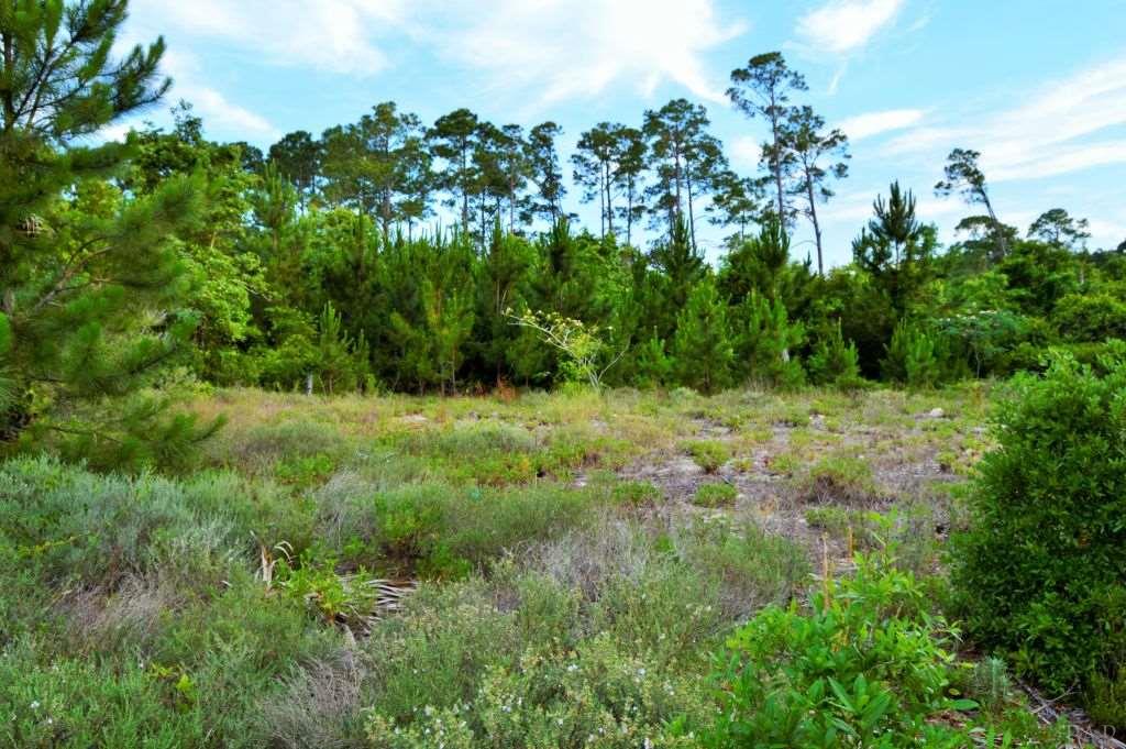 10908 SEAGLADES DR, Pensacola, FL 32507