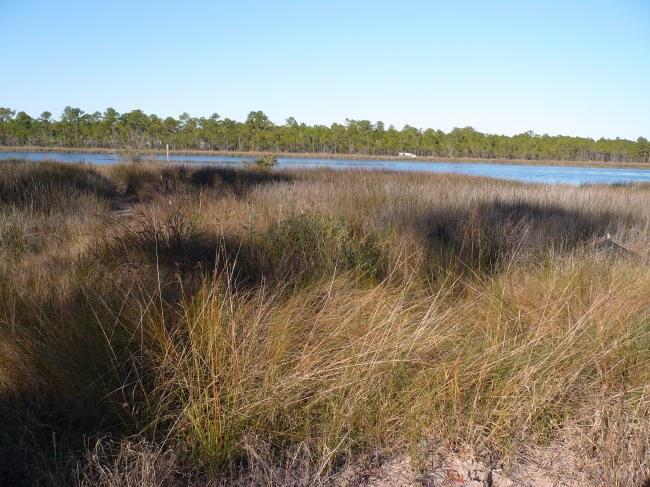 GORHAM RD, Perdido Key, FL 32507