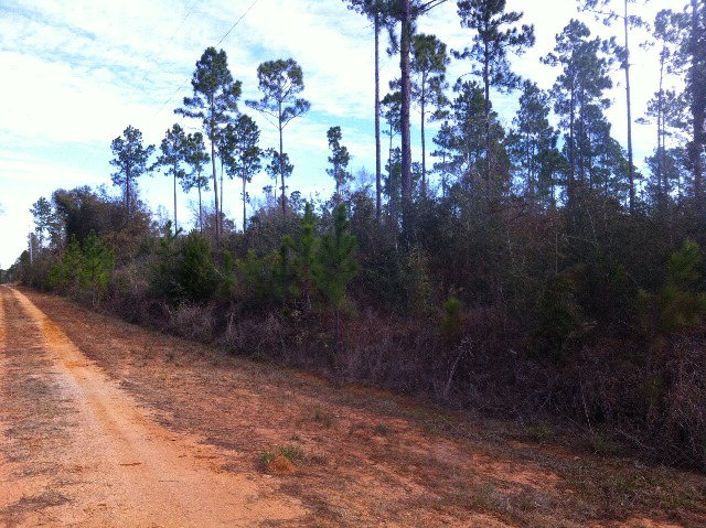 2 Red Cloud Road, Baker, FL 32531