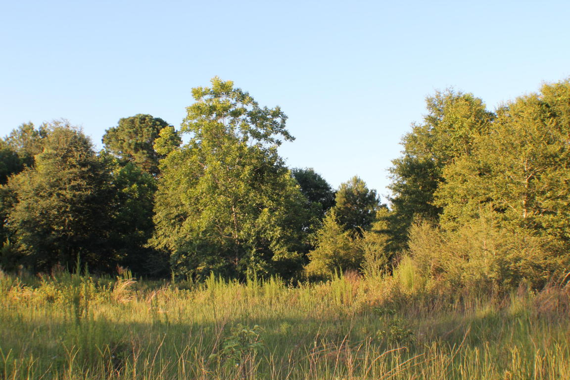 28.66 AC XXX Holloway Road, Baker, FL 32531