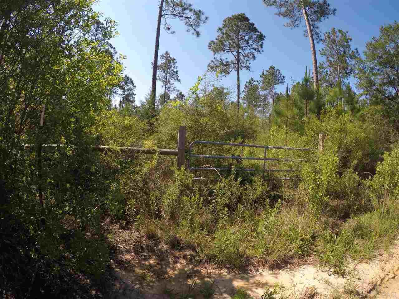 1600 BLK EVERS HAVEN, Cantonment, FL 32533