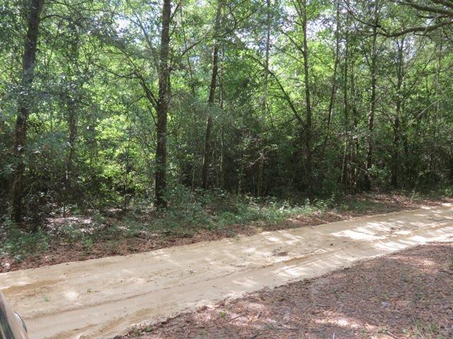 1100 BLK WESTERN AVE, Cantonment, FL 32533