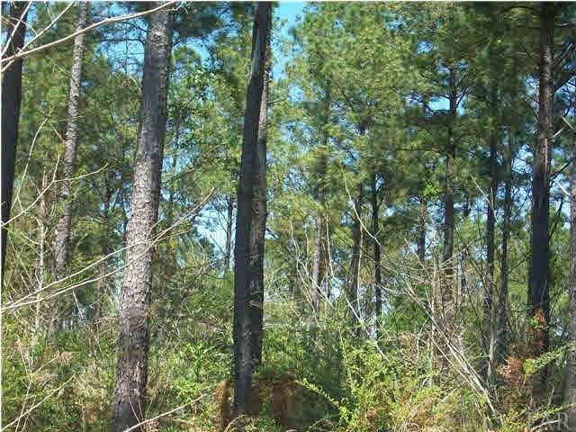 3810 O&#039;FARRELL RD, Century, FL 32535