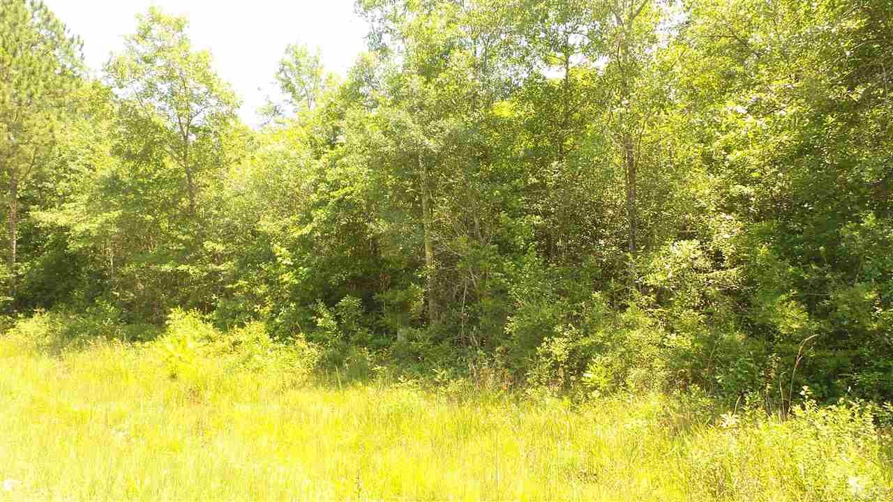 2510 HWY 4 A, Century, FL 32535
