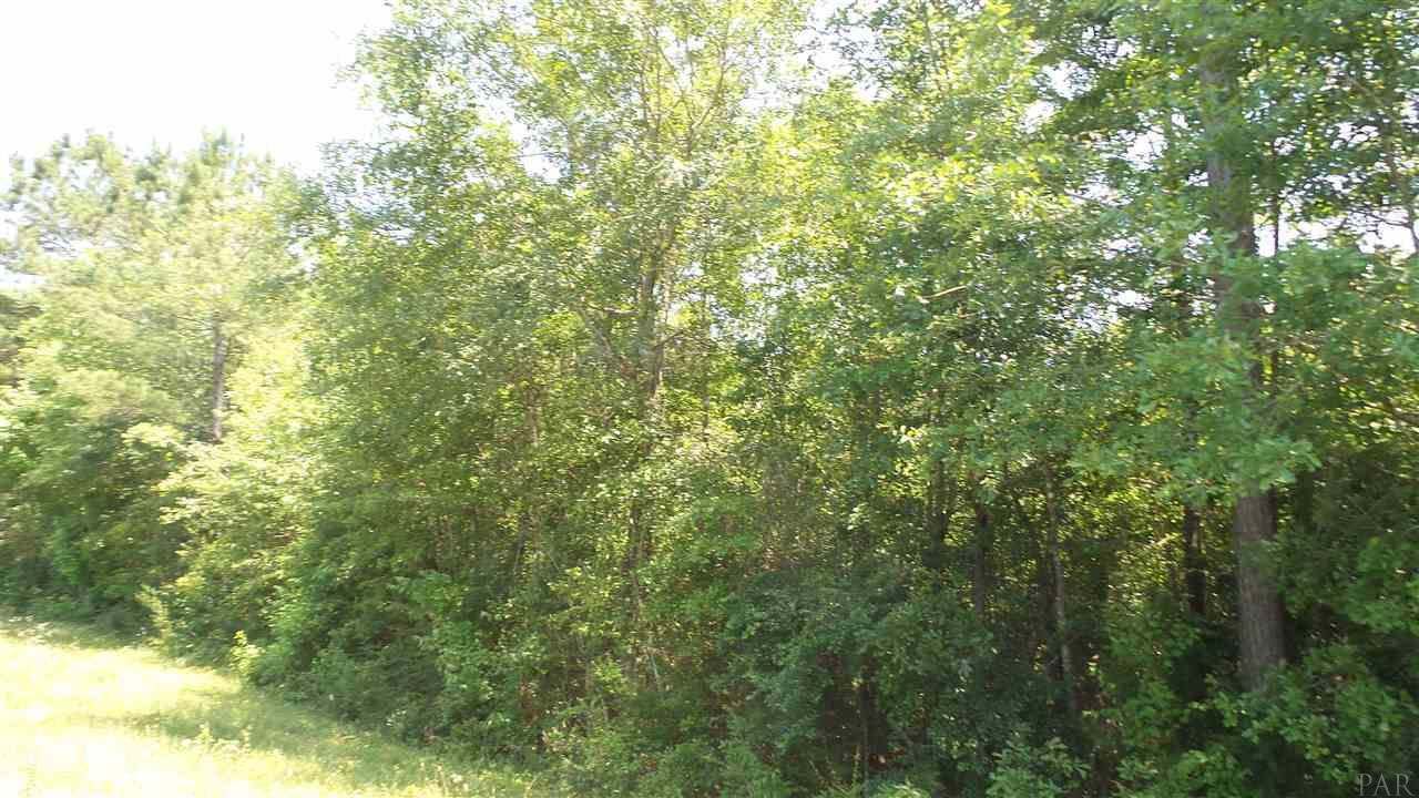 2510 HWY 4 A, Century, FL 32535