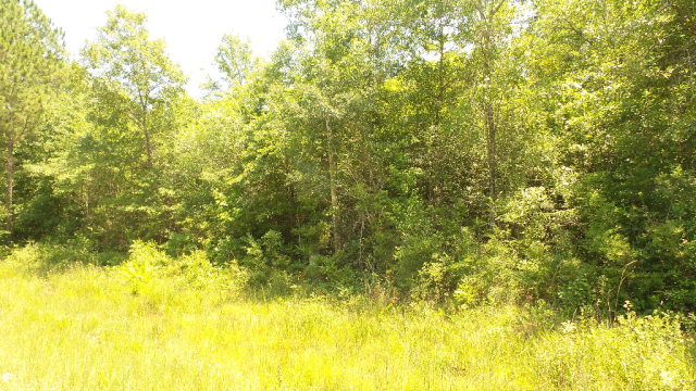 2510 Highway 4A, Century, FL 32535