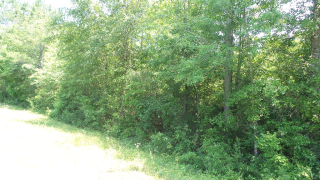 2510 Highway 4A, Century, FL 32535