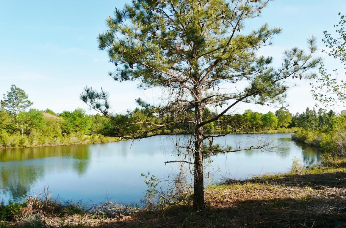 6301 Antigone Cir, Crestview, FL 32536