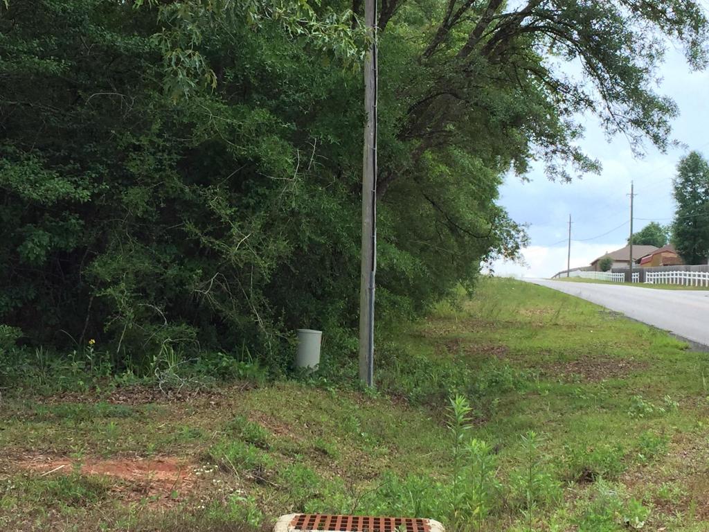 Lot 10&19 South Lake view Drive, Crestview, FL 32536