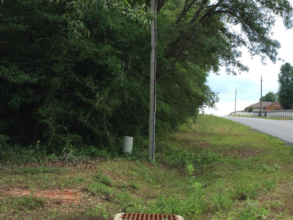 Lot 10&19 South Lake view Drive, Crestview, FL 32536