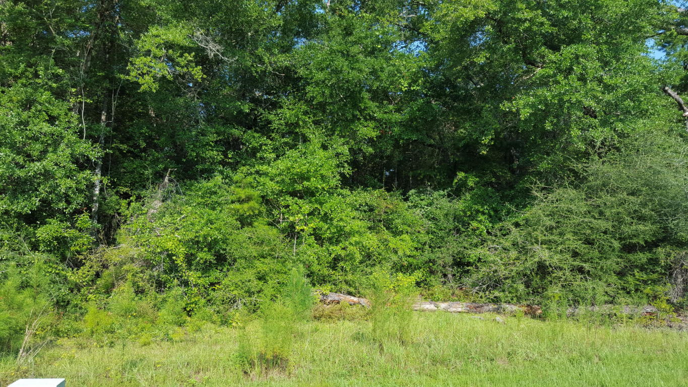 000 W Genevieve Way, Crestview, FL 32536
