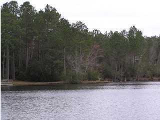 LOT 4 Meadow Lake Drive, Crestview, FL 32536