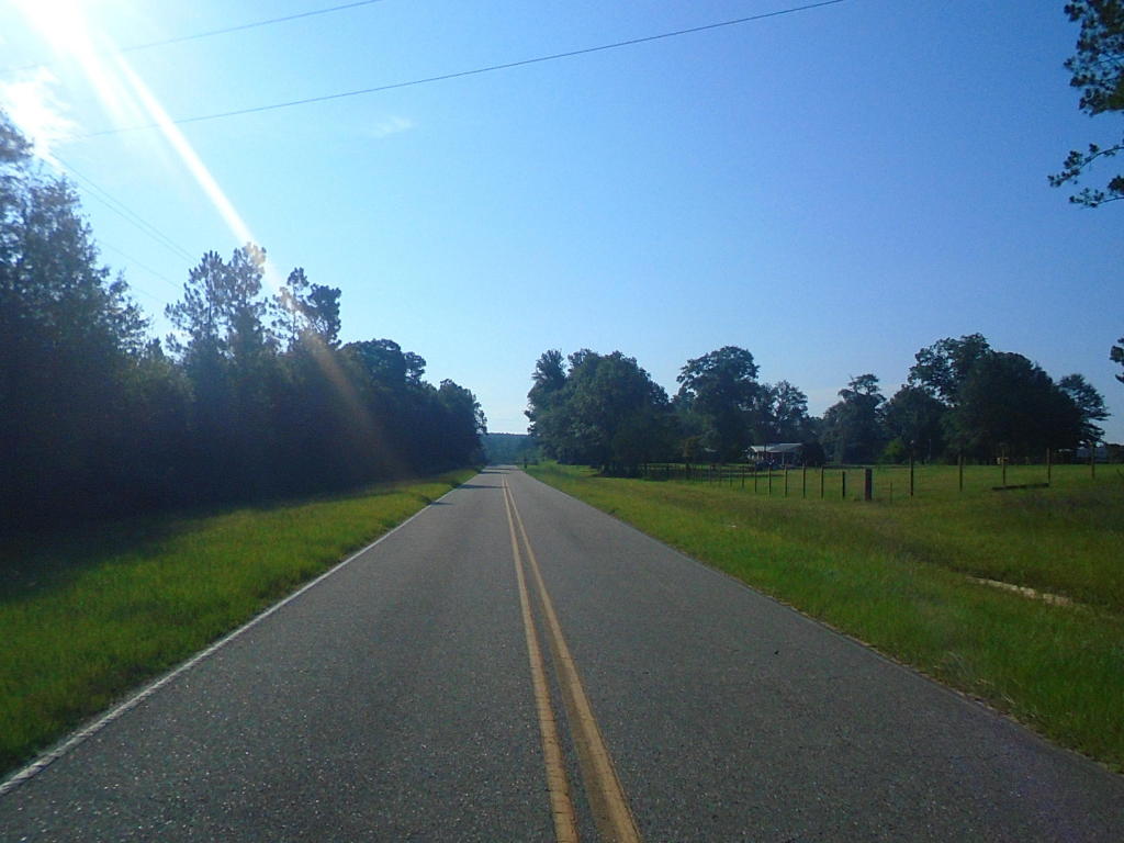 000 SHOWHORSE WAY, Paxton, FL 32538