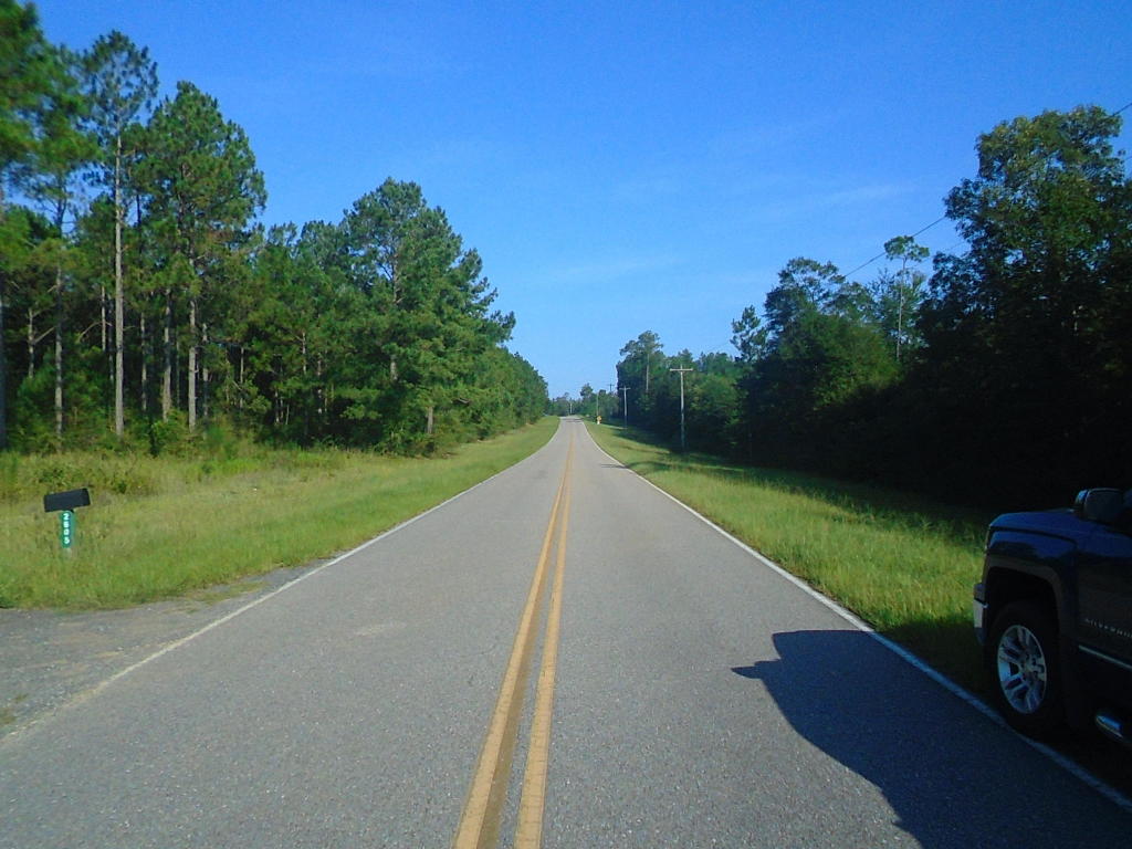 000 SHOWHORSE WAY, Paxton, FL 32538